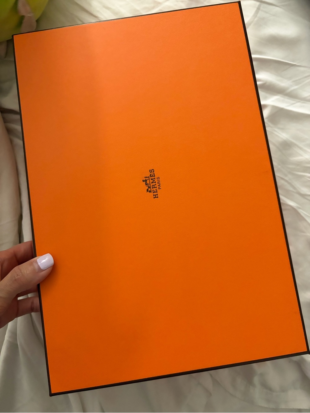 Empty Hermes shoe box